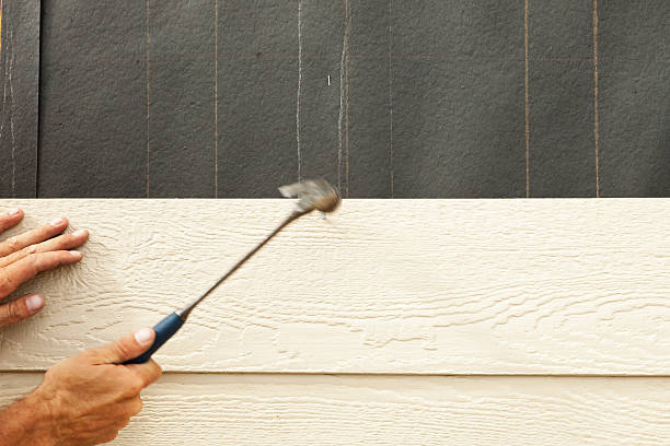 Best Brick Veneer Siding  in Arta, CA